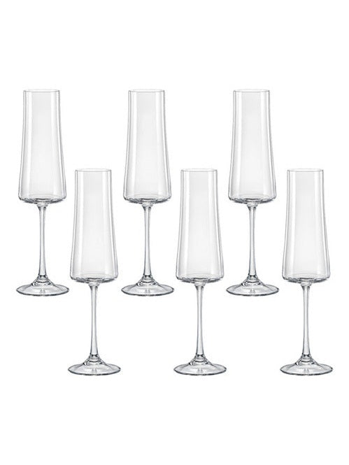 Jogo 6 Taças Champagne Luxo Cristal Bohemia - 210ml