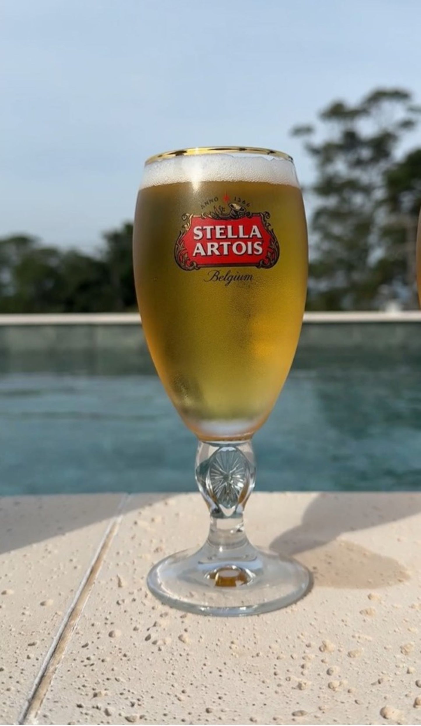 Jogo 6 Taças Cerveja Stella Artois 250ml Licenciado Ambev